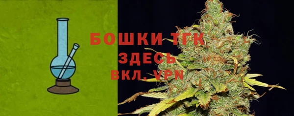 mix Инта