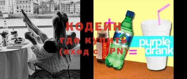 mix Инта
