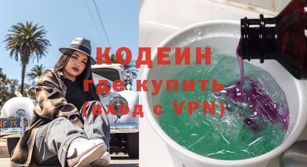 mix Инта