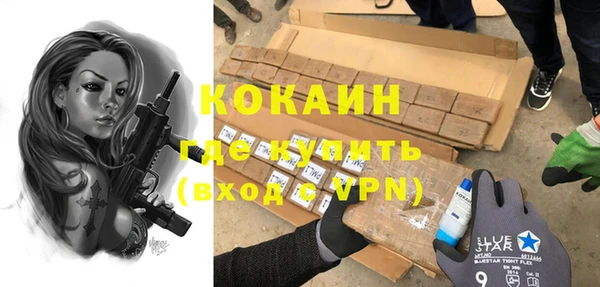 mix Инта