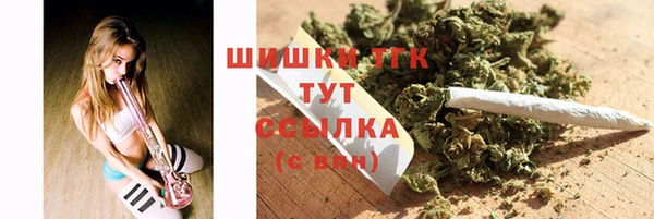mix Инта